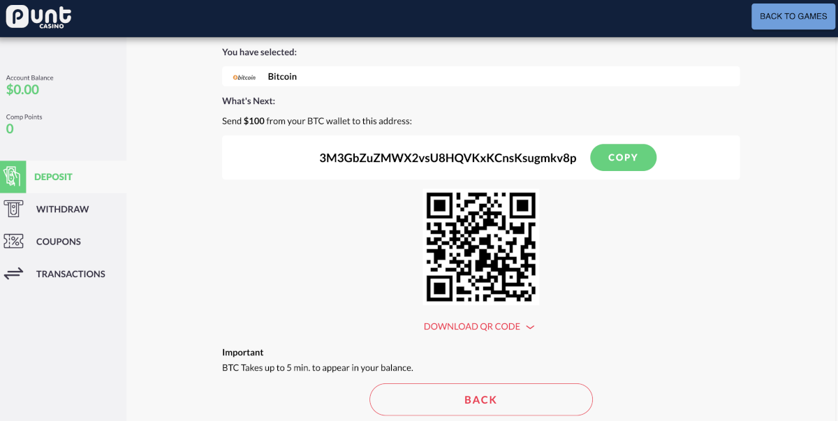 Finalizing a deposit at Punt Casino.