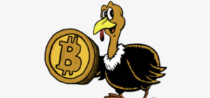 How to Explain Bitcoin to Your Family This Thanksgiving from Punt Casino.