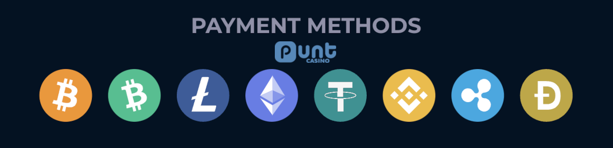 Punt Casino payment methods.