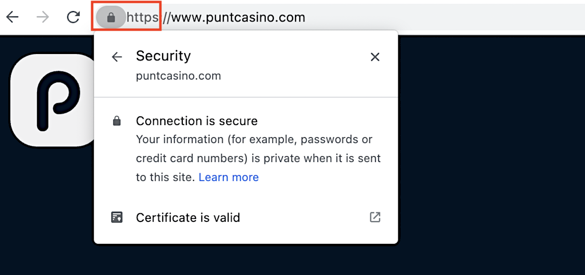 Punt Casino SSL Certificate.