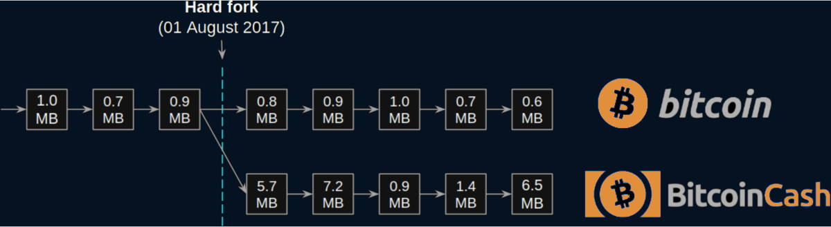 The Bitcoin Cash Fork in 2017.