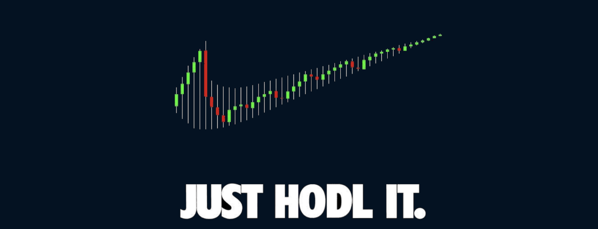 Just HODL it meme.